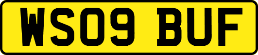 WS09BUF