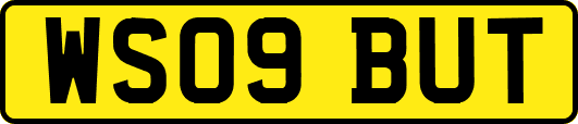 WS09BUT