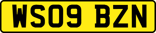 WS09BZN