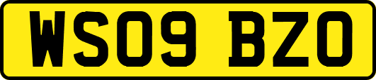 WS09BZO