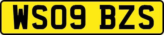 WS09BZS