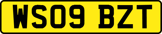 WS09BZT