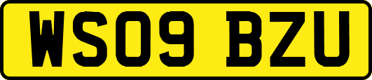 WS09BZU