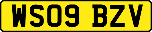 WS09BZV