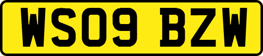 WS09BZW
