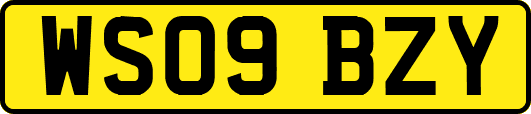 WS09BZY