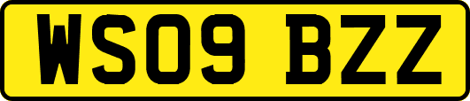 WS09BZZ