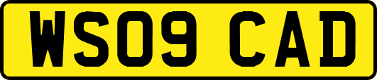 WS09CAD