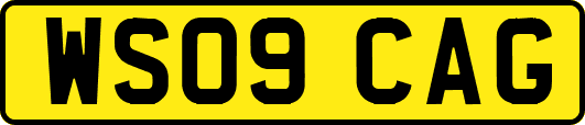 WS09CAG