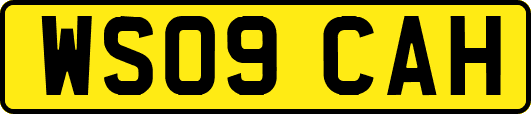 WS09CAH