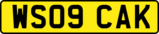 WS09CAK