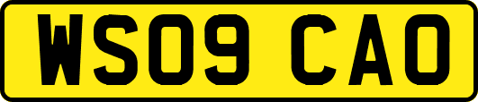 WS09CAO
