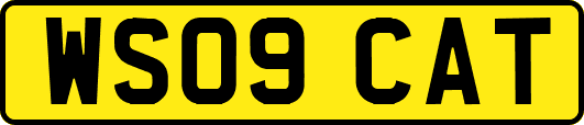 WS09CAT