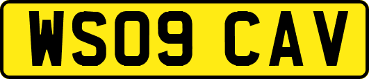 WS09CAV