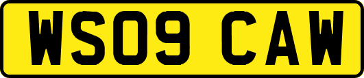 WS09CAW