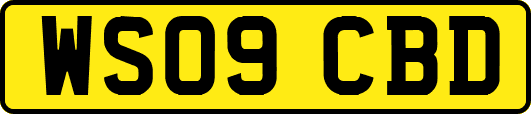 WS09CBD