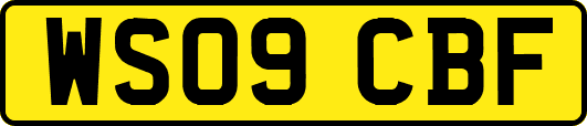 WS09CBF