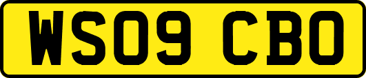 WS09CBO