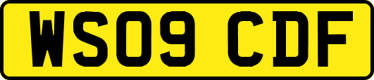 WS09CDF