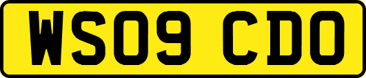 WS09CDO