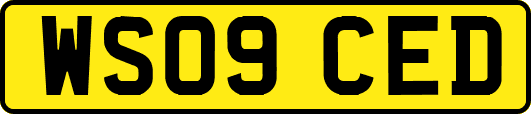 WS09CED