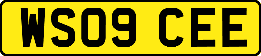 WS09CEE