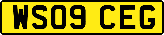 WS09CEG