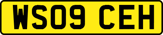 WS09CEH
