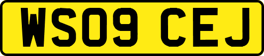 WS09CEJ