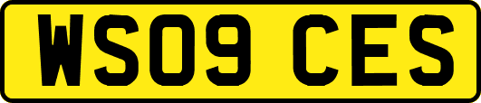 WS09CES