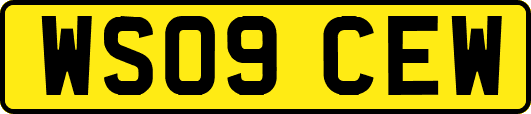 WS09CEW