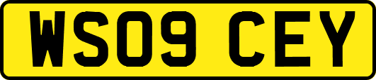 WS09CEY