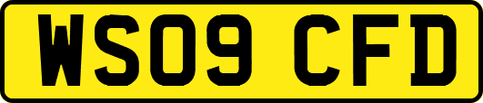WS09CFD