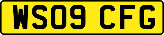WS09CFG
