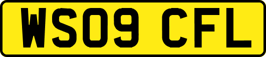 WS09CFL