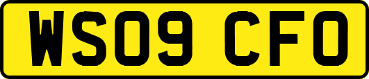 WS09CFO