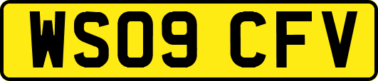 WS09CFV
