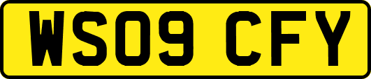 WS09CFY