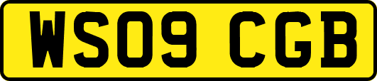 WS09CGB