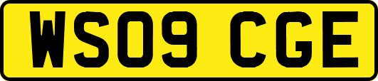 WS09CGE