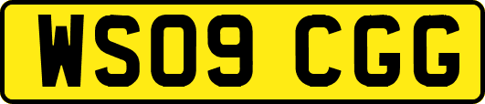 WS09CGG
