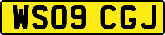 WS09CGJ