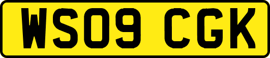 WS09CGK