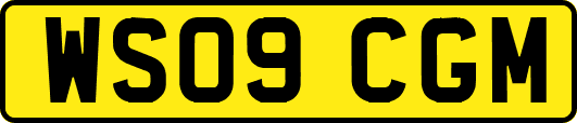 WS09CGM