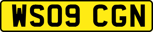WS09CGN