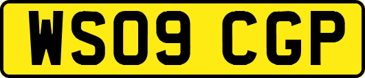WS09CGP