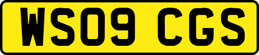 WS09CGS