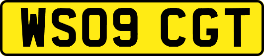 WS09CGT