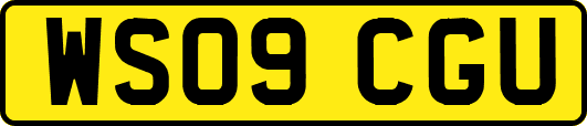 WS09CGU