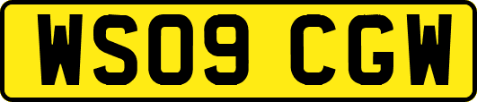 WS09CGW